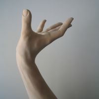 Hand 3 2008